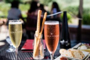 2025年NBL全国男子篮球联赛，展望未来，激情依旧2025年nbl全国男子篮球联赛