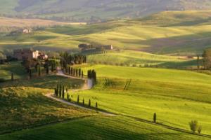 宁夏U8篮球联赛，青春与激情的碰撞宁夏U8篮球联赛